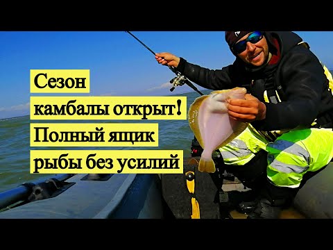 Видео: Сезон камбалы открыт! Ящик рыбы без усилий