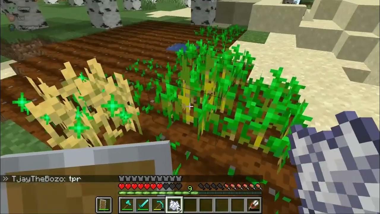 So I joined a Minecraft SMP... YouTube