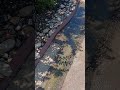 Where's The Water Originating?