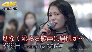 【 歌うま 】切なく沁みる歌声に鳥肌が…　366日 / HY covered by sarA  4K映像