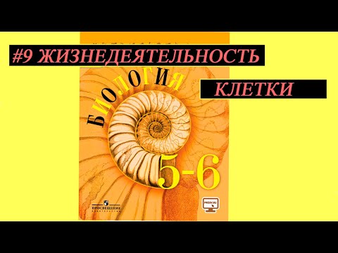 # 9 Жизнедеятельность клетки.