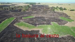 INCENDIO en Punta Indio enero 2022