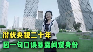 潜伏央视二十年，让中国损失上千亿，因一句口误暴露真实身份【大国知识局】#美国 #间谍