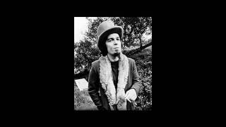 Captain Beefheart - Amougies (Wild Life)