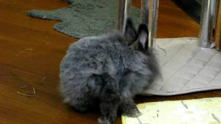 MVI_5392.AVI
