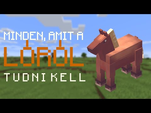 Minecraft: Minden, amit a Lóról tudni kell!