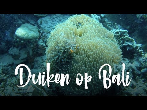Video: Top duikplekken in Bali, Indonesië