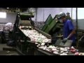 O processo de reciclagem das latas de alumínio