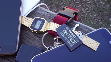 Casio Vintage Black & Gold Watch