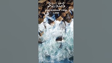 القارئ عبد الرحمن مسعد{ يَا أَيُّهَا الَّذِينَ آمَنُوا ارْكَعُوا وَاسْجُدُوا وَاعْبُدُوا رَبَّكُمْ }