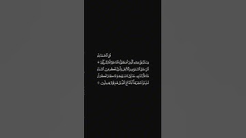 الشيخ احمد حمادي سورة النمل