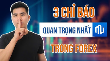Học Forex Cơ Bản: 3 Chỉ Báo Duy Nhất Bạn Cần Để Vào Lệnh Chuẩn Xác