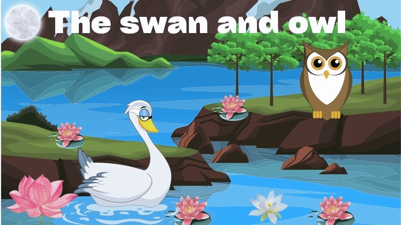 the swan and the owl story|bedtime stories|kids stories in English
