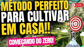 Como Começar a Plantar em Casa do Zero? Análise de um CASO REAL