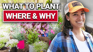 What To Plant Where and Why - Ace Hardware