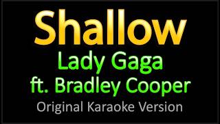 Shallow - Karaoke Version / Lady Gaga & Bradley Cooper Net Worth