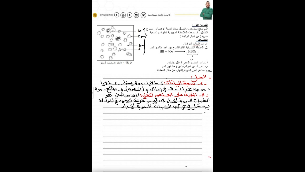 تمرين جيد حول دور الدم في العضوية