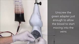 Canine Head Vascular Access Simulator - How To Use