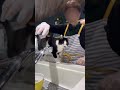 【おんぶ猫ムロ】 #おんぶ猫 #猫のいる暮らし #介護