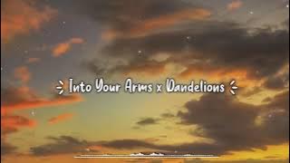 Into Your Arms x  Dandelions Mashup