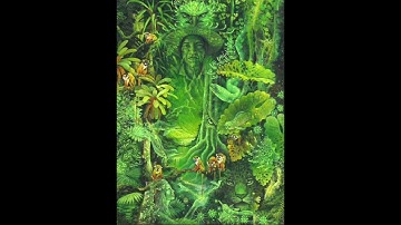 Terence McKenna   Psychedelics Before and After History