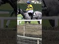 阪神競馬9R 皆生特別を勝利して引揚る、川田将雅騎手(テラメリア) 20260322