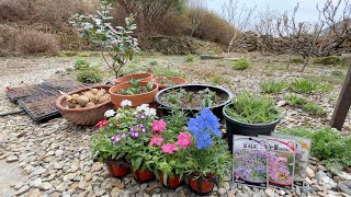 A day at the countryside village market. Would you care to see what I bought?