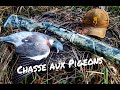 Chasse aux Pigeons saison 2019-2020 ! Régulation Pigeon de Villes ! Nombreux Tirs