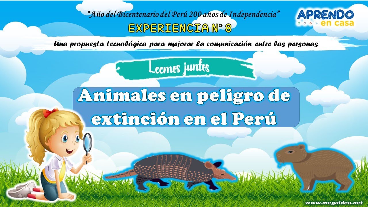 Animales en peligro de extinción en el Perú - thptnganamst.edu.vn