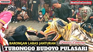 BARONGAN BUTO LABAS JANTURAN || TURONGGO BUDOYO PULASARI || Live Merden Pesantren 
