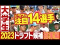 【最新情報】2023年秋 ドラフト注目選手<大学生編>レジェンド4人も注目!スポーツライター西尾典文さんイチオシ選手一覧「プロ野球ドラフトちゃんねる」スカイA公式