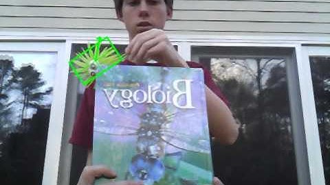 Squid Toy Tracking with OpenCV CAMShift and Kalman Filter