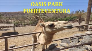Oasis Wildlife Park Fuerteventura