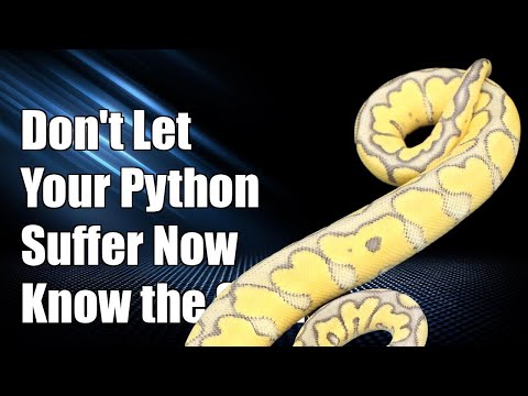 Don't Let Your Ball Python Suffer: Key Signs of Dehydration You Must Know!
