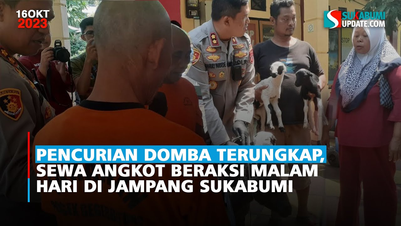 Pencurian Domba Terungkap, Sewa Angkot Beraksi Malam Hari di Jampang Sukabumi