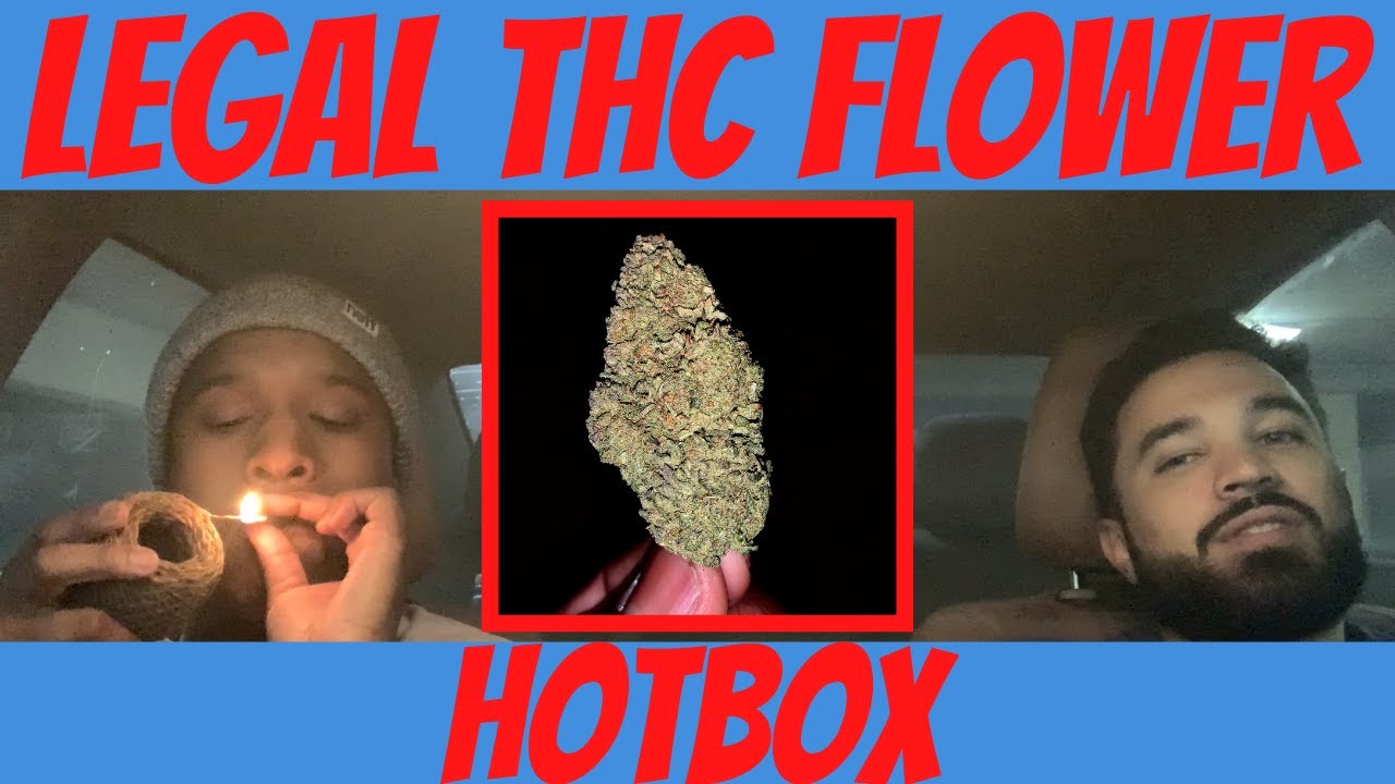 Can Delta 8 Flower Get You High? Legally Lifted Ep. 10 YouTube