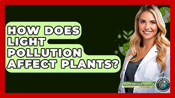 How Does Light Pollution Affect Plants? - Earth Science Answers