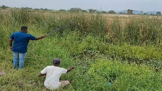 Small Single Hook Fishing In Pondamazing Catching Tilapia Fishes To Catch With Hookunique Fishing