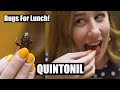 Bugs For Lunch at Quintonil – World’s 50 Best Chef Jorge Vallejo! (CDMX Part 2)