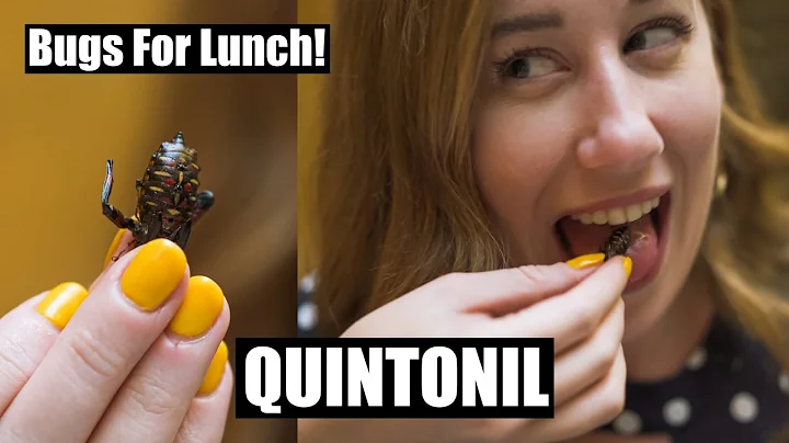 Bugs For Lunch at Quintonil  Worlds 50 Best Chef J...