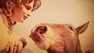 Download Lagu La Düsseldorf - Viva (Full Vinyl Album 1978) (Analogue Goodies) MP3