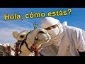 8 Países que hablan español y no lo sabías