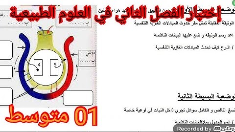 إختبار الفصل الثاني في العلوم الطبيعية السنة الأولى متوسط 2025