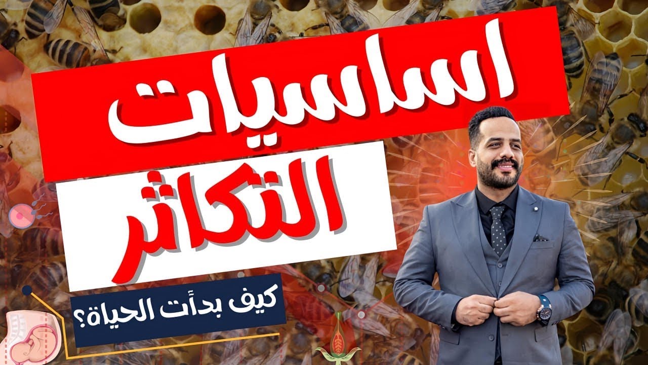 أهم حصة في أحياء تالته ثانوي | مش هتفهم التكاثر ولا DNA من غير ماتشوف الحصة دي ..