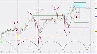 Stock Sectors - AI Compute Stocks | Winners and Losers are Emerging