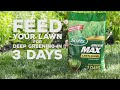 How to get a greener lawn using scotts green max