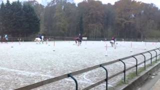 Pony Games Le 011213 Marolles Les Wonderfox