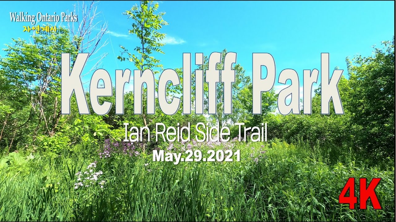 [4K] Kerncliff Park - Ian Reid Side Trail, #4, [2021.05.29] - YouTube