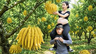166 Days Harvesting Giant Buddha's Hand Citron to Sell ❗ This Rare Fruit Made a Pregnant Woman Rich