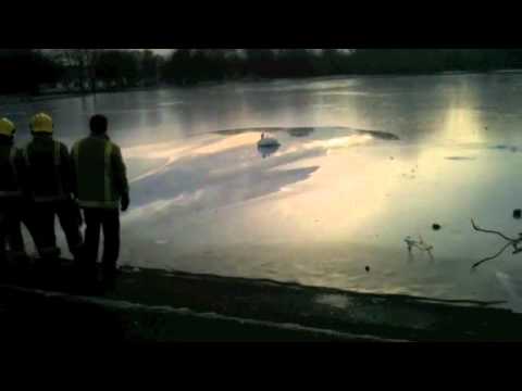 the_swan.m4v